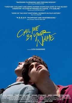 2017年美国经典剧情片《请以你的名字呼唤我》蓝光中英双字 [迅雷BT磁力免费下载]