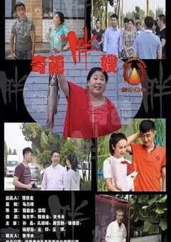 2020年国产喜剧片《奇葩胖嫂》HD国语中字 [迅雷BT磁力免费下载]