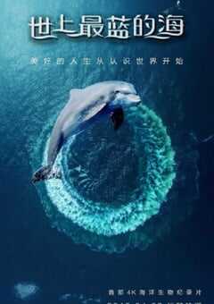 2019年美国纪录片《世上最蓝的海》全8集 [迅雷BT磁力免费下载]