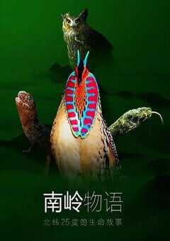 2021年国产大陆纪录片《南岭物语》全3集 [迅雷BT磁力免费下载]