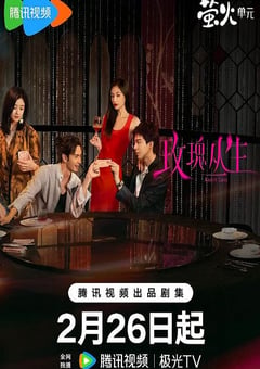 2026年国产电视剧《玫瑰丛生》 全第26集 [迅雷BT磁力免费下载]