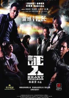 2008年中国香港经典动作片《证人》蓝光国粤双语中字 [迅雷BT磁力免费下载]