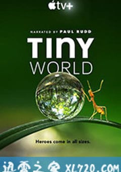 小小世界 Tiny World (2020) [迅雷BT磁力免费下载]