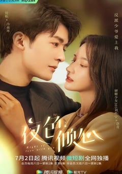 2022年国产大陆电视剧《夜色倾心》全24集 [迅雷BT磁力免费下载]