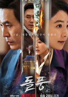2024年韩国电视剧《政坛旋风》全12集 [迅雷BT磁力免费下载]
