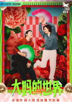 2021年国产大陆电视剧《大妈的世界》全20集 [迅雷BT磁力免费下载]