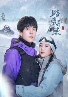 2025年国产大陆电视剧《踏雪寻熊》全24集 [迅雷BT磁力免费下载]