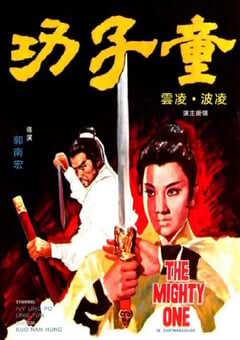 1971年中国香港经典动作片《童子功》蓝光国语中字 [迅雷BT磁力免费下载]