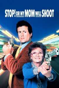 1992美国电影《母子威龙》1080p高清 4K网盘迅雷下载