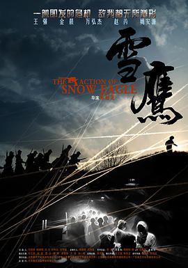 2013年国产电视剧《雪鹰》 全第34集 [迅雷BT磁力免费下载]