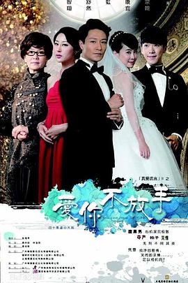 2013年国产电视剧《爱你不放手》 全第01集 [迅雷BT磁力免费下载]