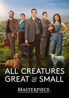 2020年英国电视剧《万物生灵：2020圣诞特别集》全1集 [迅雷BT磁力免费下载]