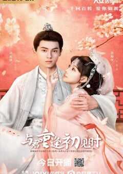 2025年国产大陆电视剧《与君重逢初见时》连载至24 [迅雷BT磁力免费下载]