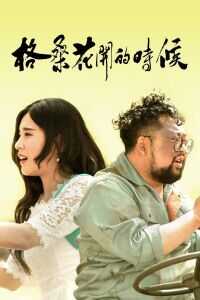 2018中国大陆电影《格桑花开的时候》1080p高清 4K网盘迅雷下载