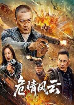 2025年国产动作片《危情风云》HD国语中字 [迅雷BT磁力免费下载]
