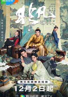 2025年国产大陆电视剧《非凡》全20集 [迅雷BT磁力免费下载]