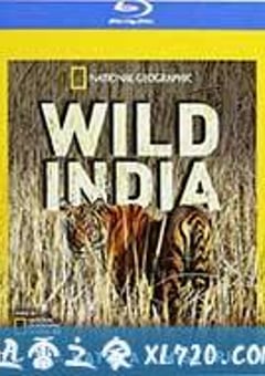 国家地理：狂野印度 Secrets of Wild India (2012) [迅雷BT磁力免费下载]