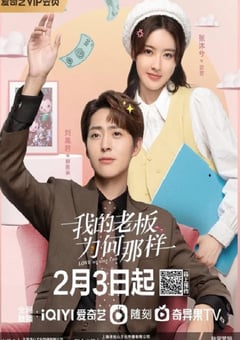 2023年国产大陆电视剧《我的老板为何那样》全18集 [迅雷BT磁力免费下载]