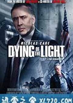 光逝 Dying of the Light (2014) [迅雷BT磁力免费下载]