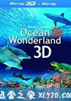 神奇的海洋 Amazing Ocean 3D (2012) [迅雷BT磁力免费下载]