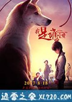 我是谁的宝贝 (2017) [迅雷BT磁力免费下载]
