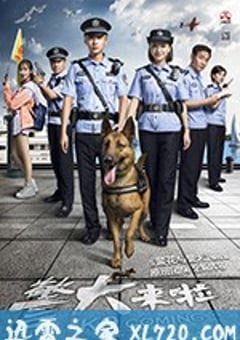 警犬来啦 (2018) [迅雷BT磁力免费下载]