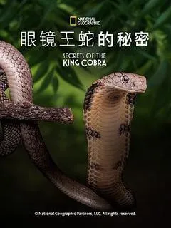 2010印度电影《眼镜蛇的秘密》1080p高清 4K网盘迅雷下载