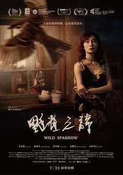 2019中国台湾电影《野雀之诗》1080p高清 4K网盘迅雷下载