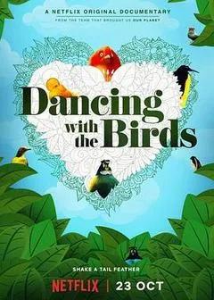 2019美国电影《与鸟共舞》1080p高清 4K网盘迅雷下载