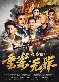 2026中国大陆电影《重案·无罪》1080p高清 4K网盘迅雷下载