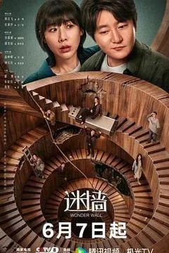 迷墙-1080P/2160P全集中文字幕 4K网盘迅雷下载