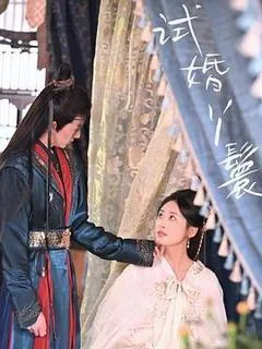 2025中国大陆电视剧《试婚丫鬟》「全集」1080p高清 4K网盘迅雷下载