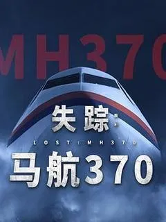 2014澳大利亚电影《失踪：马航370》1080p高清 4K网盘迅雷下载