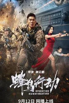 2026中国大陆电影《蜂鸟行动》1080p高清 4K网盘迅雷下载