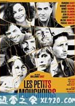 小小的白色谎言 Les petits mouchoirs (2010) [迅雷BT磁力免费下载]