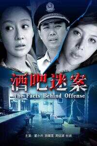 2012中国大陆电影《酒吧谜案》1080p高清 4K网盘迅雷下载