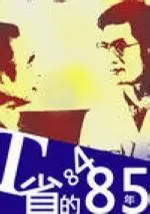 1986中国大陆电影《T省的八四、八五年》1080p高清 4K网盘迅雷下载