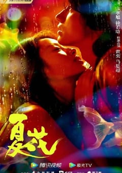 2023年国产大陆电视剧《夏花》全24集 [迅雷BT磁力免费下载]