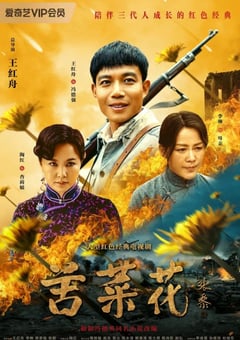2019年国产电视剧《苦菜花》 连载至第34集 [迅雷BT磁力免费下载]