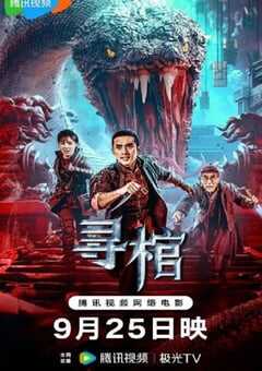 2025年国产动作冒险片《寻棺》HD国语中字 [迅雷BT磁力免费下载]