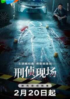 2025年国产大陆电视剧《刑侦现场》全18集 [迅雷BT磁力免费下载]