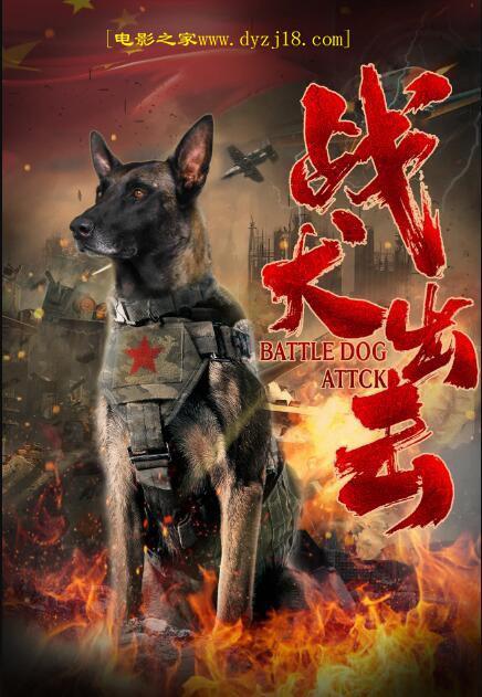 2021中国大陆电影《战犬出击》1080p高清 4K网盘迅雷下载