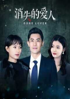 2025年国产大陆电视剧《消失的爱人》全24集 [迅雷BT磁力免费下载]
