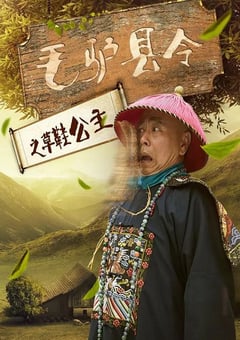 2016年国产喜剧片《毛驴县令之草鞋公主》HD国语中字 [迅雷BT磁力免费下载]