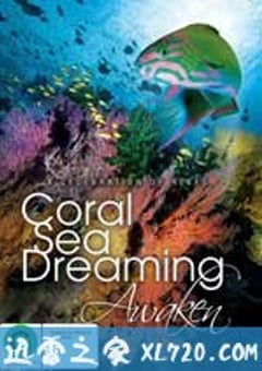 梦幻珊瑚海：唤醒 Coral Sea Dreaming: Awaken (2010) [迅雷BT磁力免费下载]
