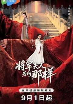 2025年国产大陆电视剧《将军夫人为何那样》全24集 [迅雷BT磁力免费下载]