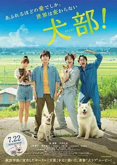 2021日本电影《犬部!》1080p高清 4K网盘迅雷下载
