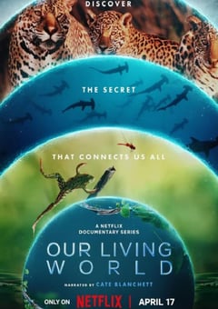 2024年英国纪录片《我们的生物世界》全04集 [迅雷BT磁力免费下载]