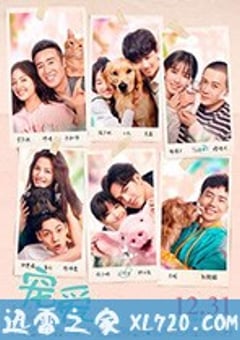 宠爱 (2019) [迅雷BT磁力免费下载]