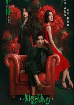 2019年国产爱情片《如影随心》HD国语中字 [迅雷BT磁力免费下载]